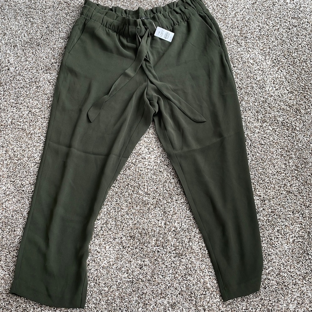 NWT LOFT size large pants